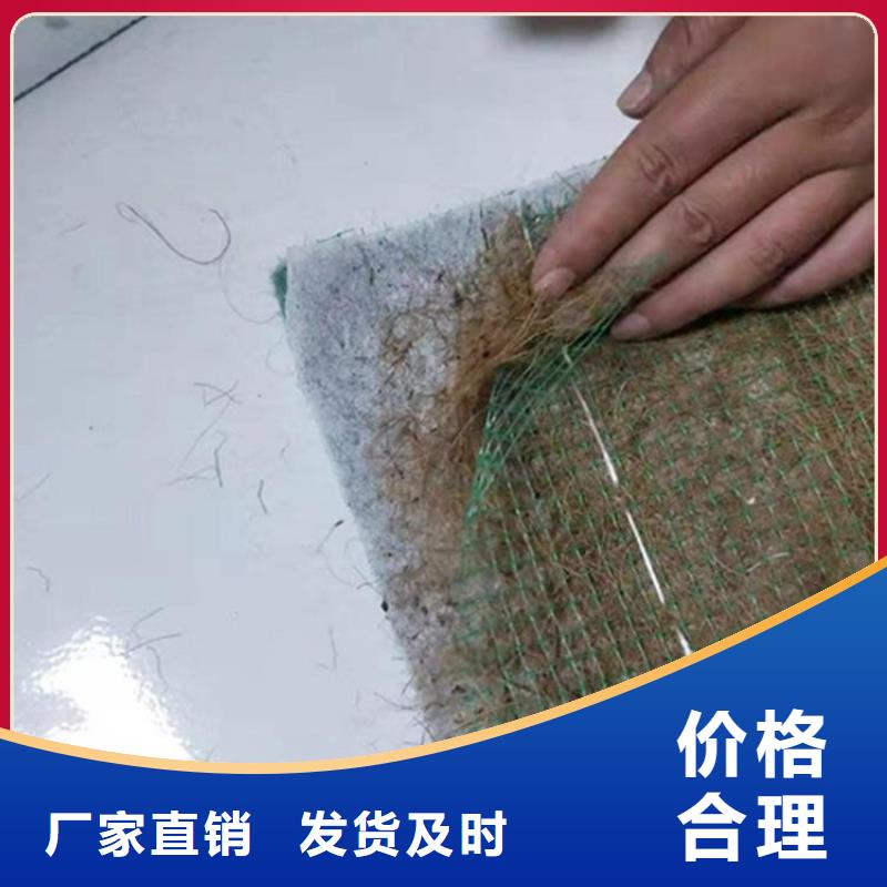 椰丝毯聚丙烯长丝土工布免费寄样