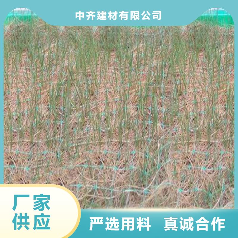 椰丝毯_塑料盲沟对质量负责