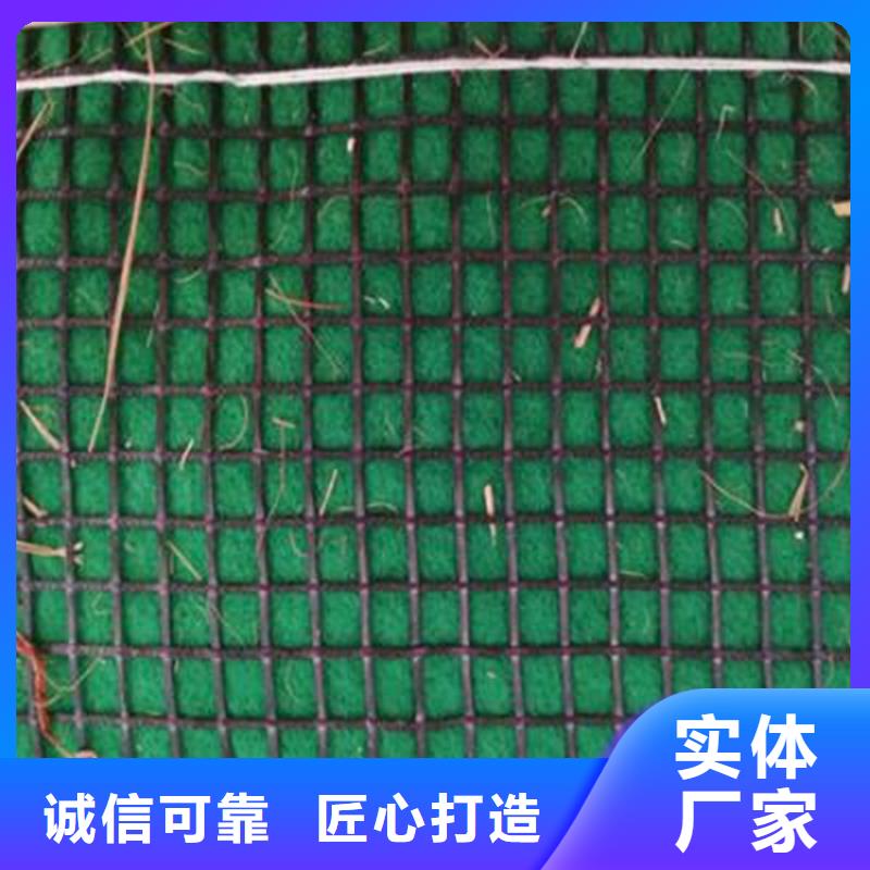 椰丝毯防渗膜专注生产制造多年