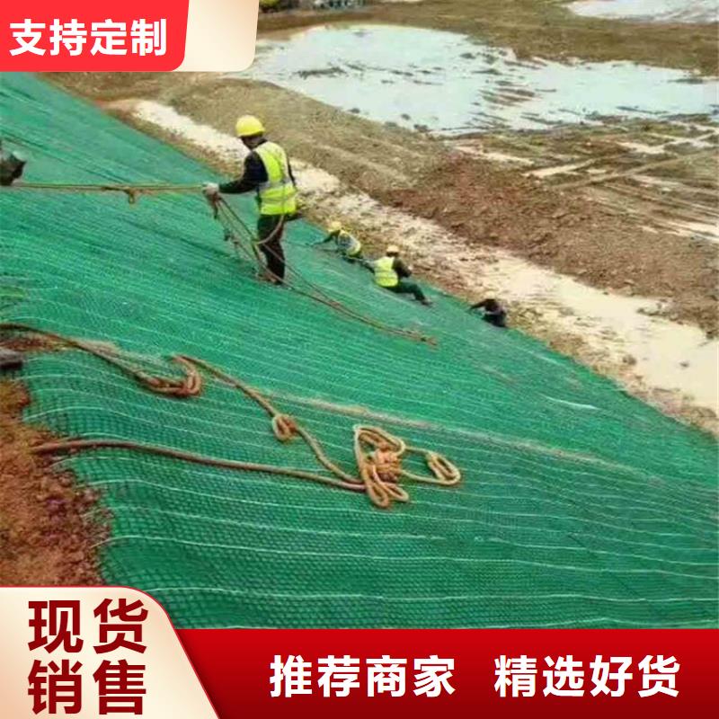 椰丝毯_土工格栅价格合理