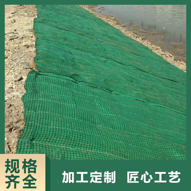 椰丝毯_土工格栅价格合理