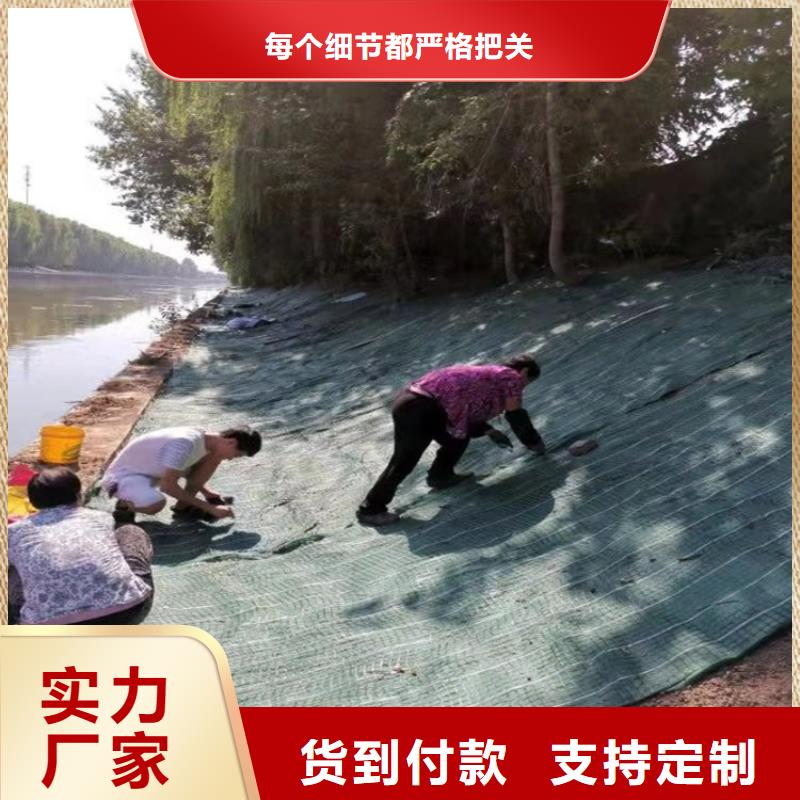 椰丝毯_土工格栅价格合理