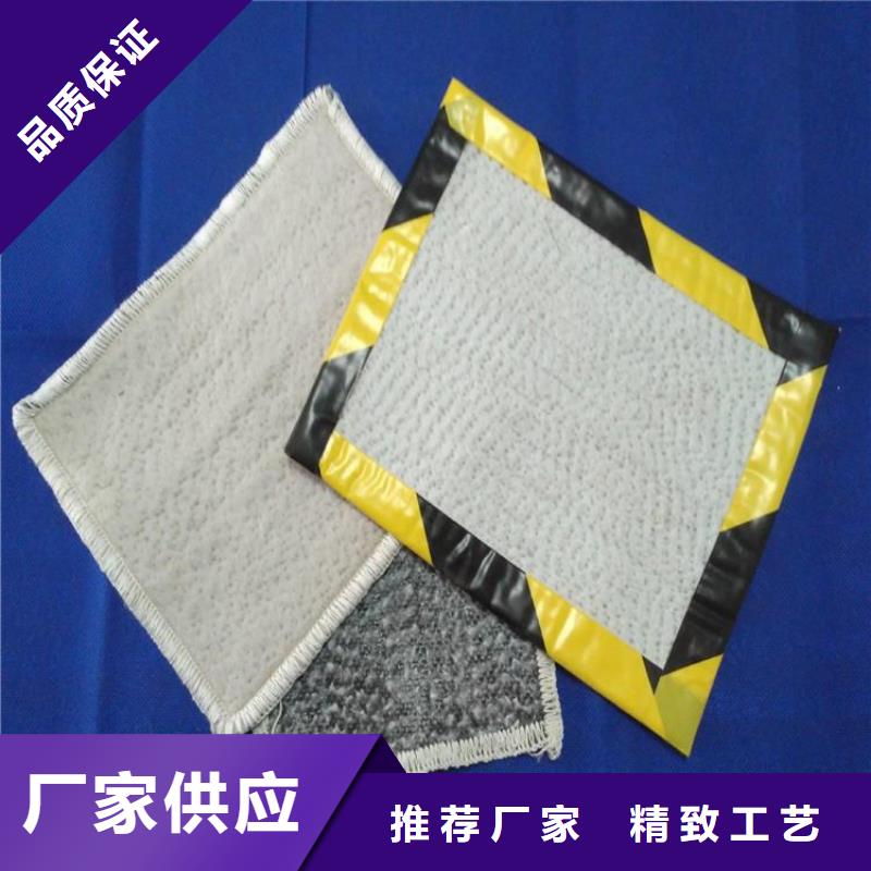 膨润土防水毯_短纤无纺土工布专注品质
