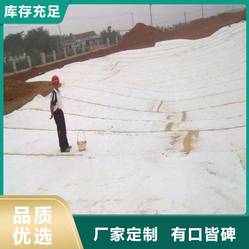 膨润土防水毯_短纤无纺土工布专注品质