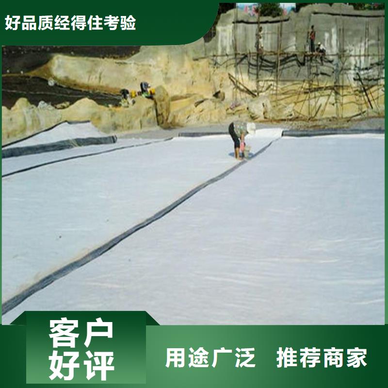 膨润土防水毯【钢塑土工格栅】随到随提