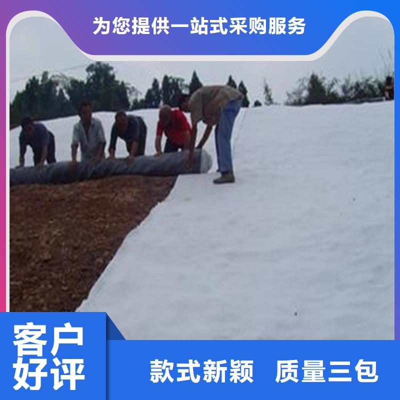 膨润土防水毯_短纤无纺土工布专注品质