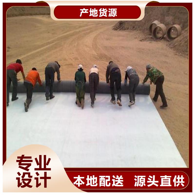 膨润土防水毯_短纤无纺土工布专注品质