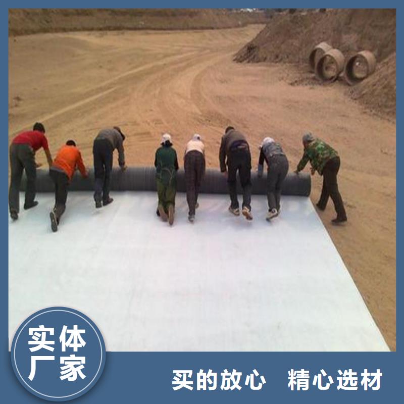 膨润土防水毯短纤无纺土工布严格把关质量放心