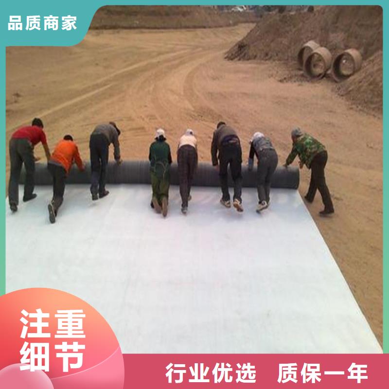 膨润土防水毯_短纤无纺土工布专注品质