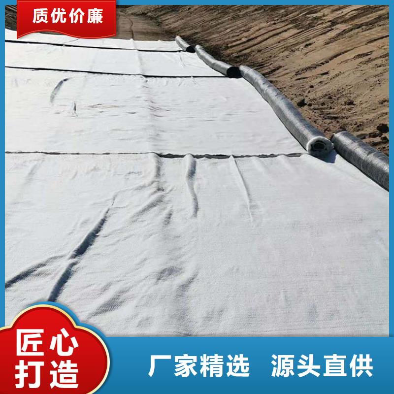 膨润土防水毯【钢塑土工格栅】随到随提