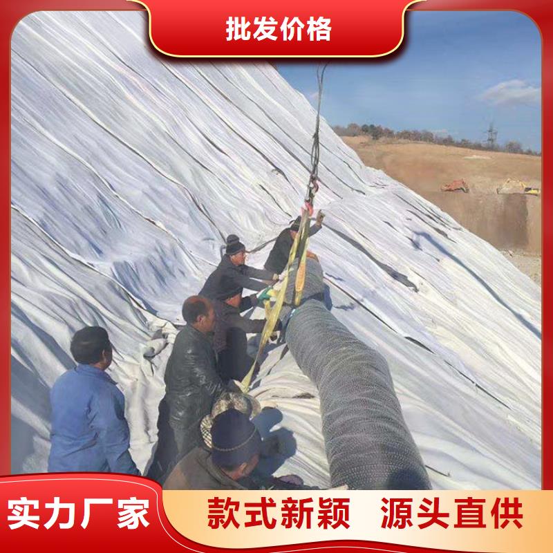 膨润土防水毯_短纤无纺土工布专注品质