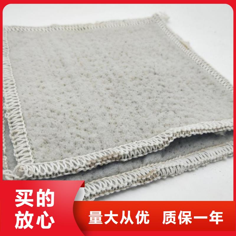 膨润土防水毯_短纤无纺土工布专注品质