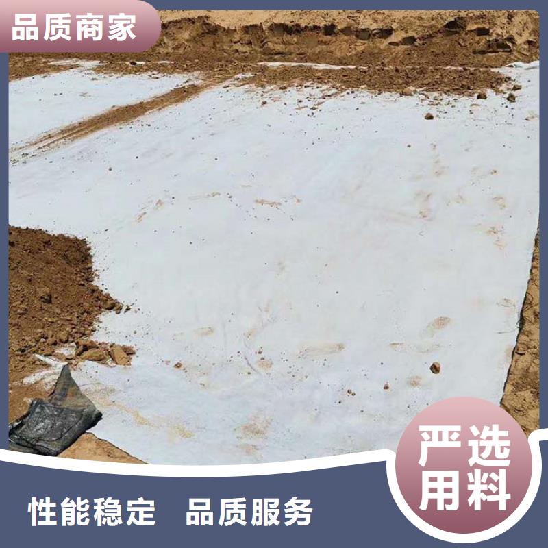膨润土防水毯排水管用好材做好产品
