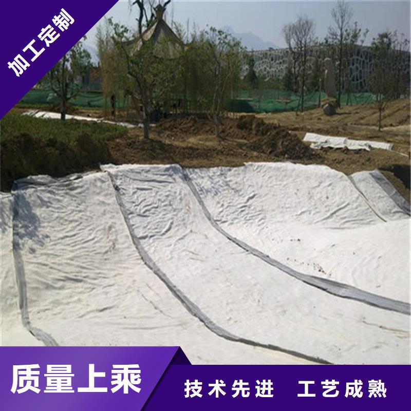 膨润土防水毯_短纤无纺土工布专注品质