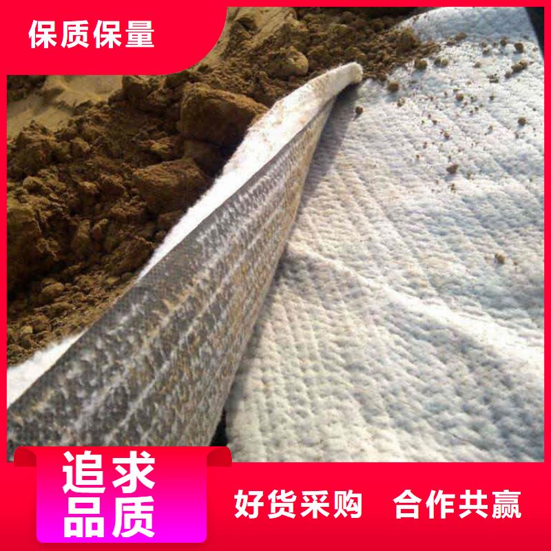 膨润土防水毯_短纤无纺土工布专注品质