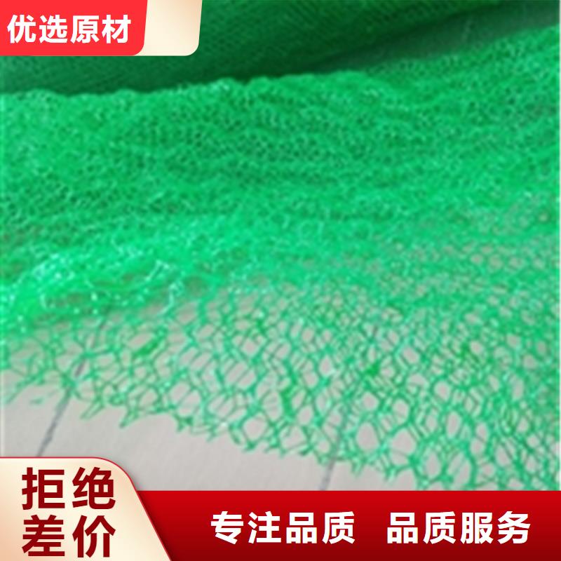 西和|徽县|天水|酒泉|甘南|兰州【三维植被网】_HDPE土工膜核心技术-中齐