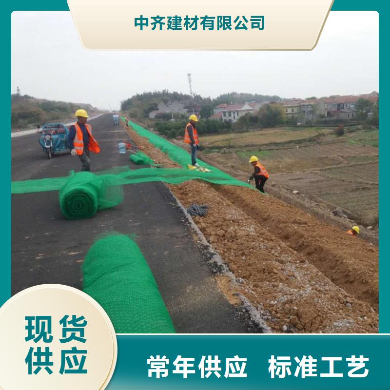 三维植被网_复合土工膜实力厂家直销