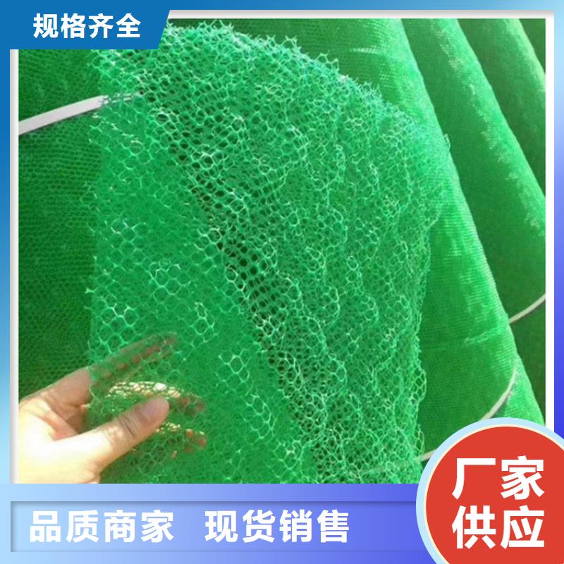 西和|徽县|天水|酒泉|甘南|兰州【三维植被网】_HDPE土工膜核心技术-中齐