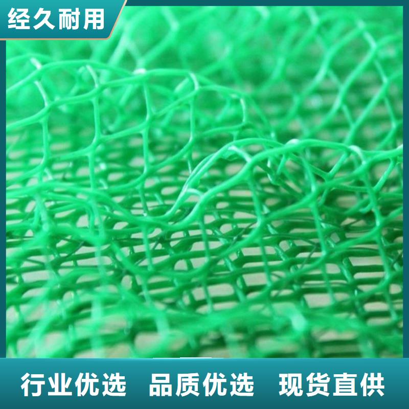 三维植被网_复合土工膜实力厂家直销