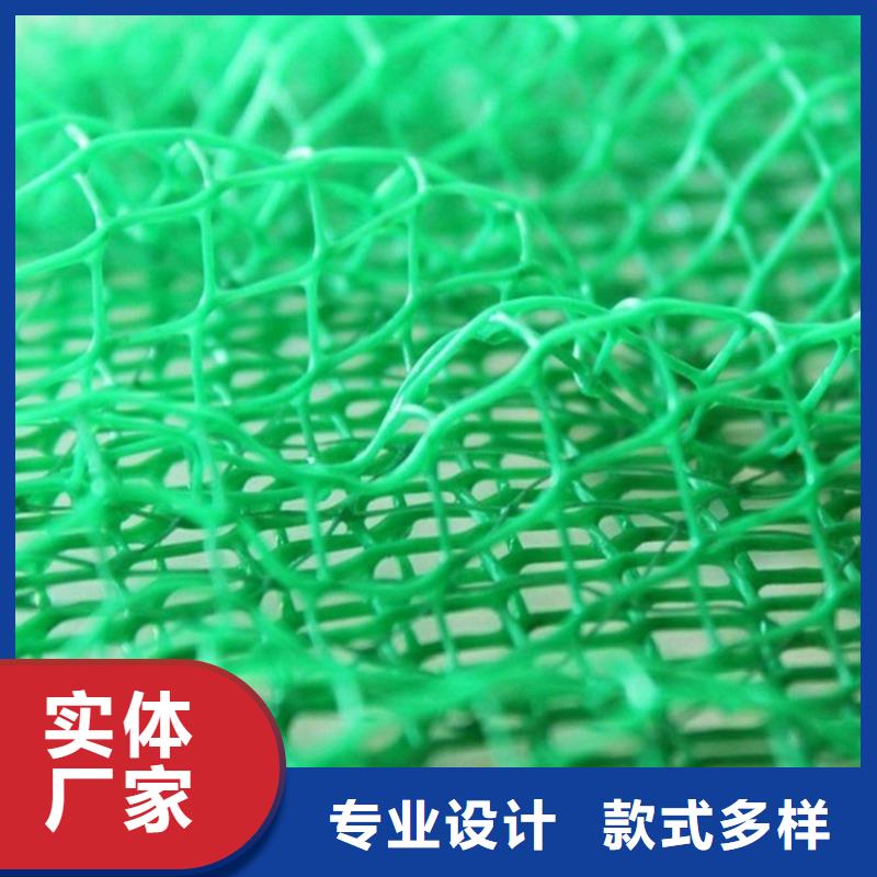 三维植被网_复合土工膜实力厂家直销