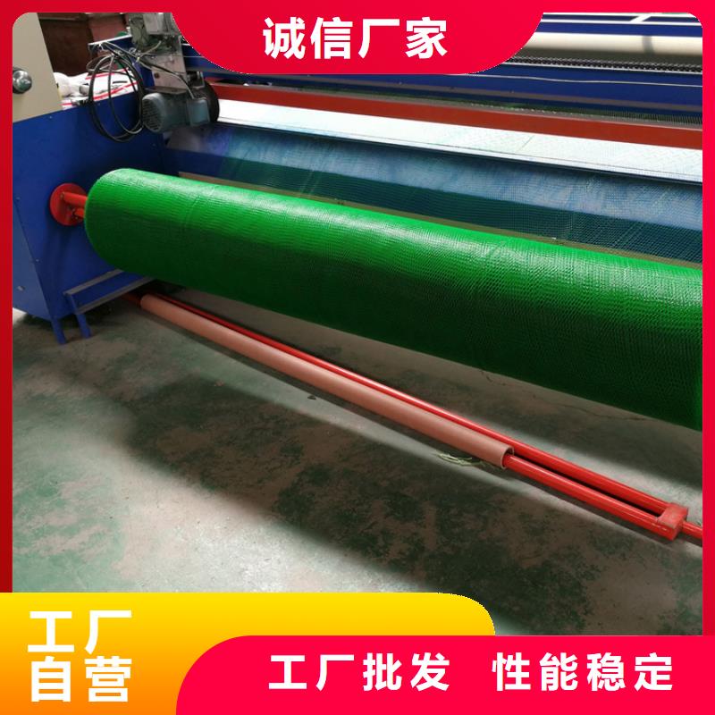 西和|徽县|天水|酒泉|甘南|兰州【三维植被网】_HDPE土工膜核心技术-中齐