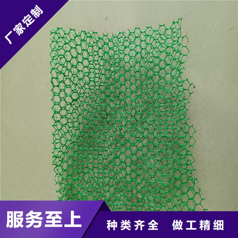三维植被网土工格栅追求细节品质