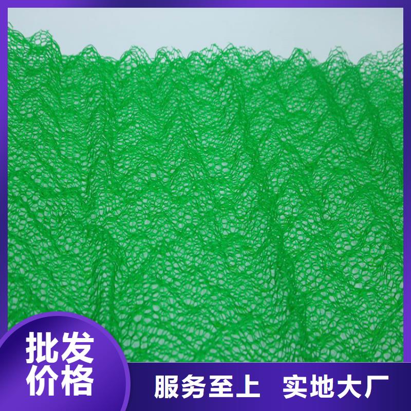 三维植被网土工格栅追求细节品质