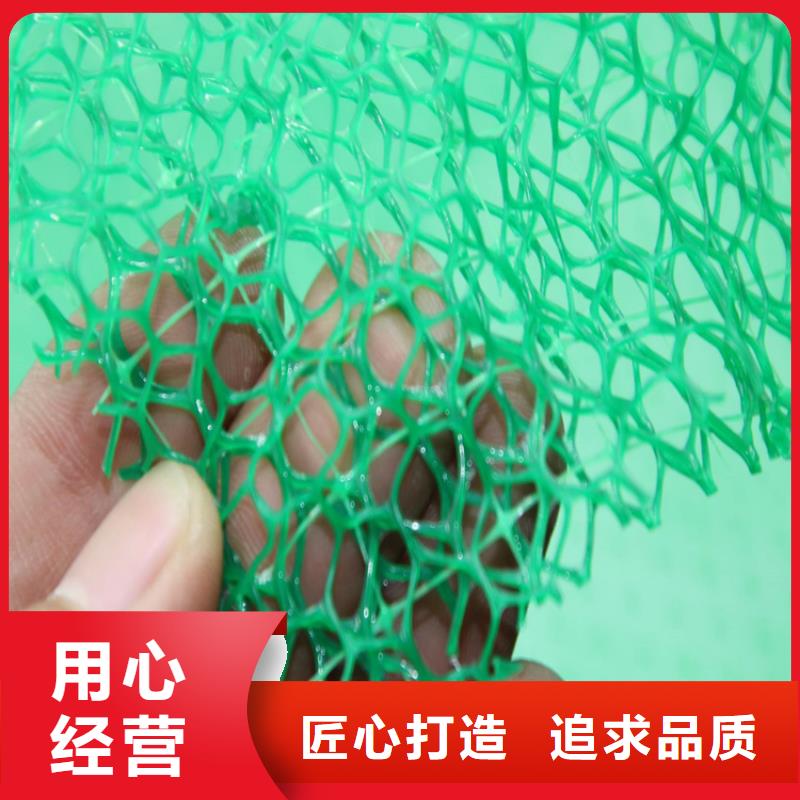 西和|徽县|天水|酒泉|甘南|兰州【三维植被网】_HDPE土工膜核心技术-中齐