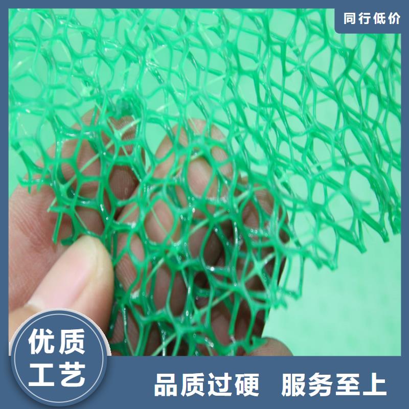 三维植被网_复合土工膜实力厂家直销