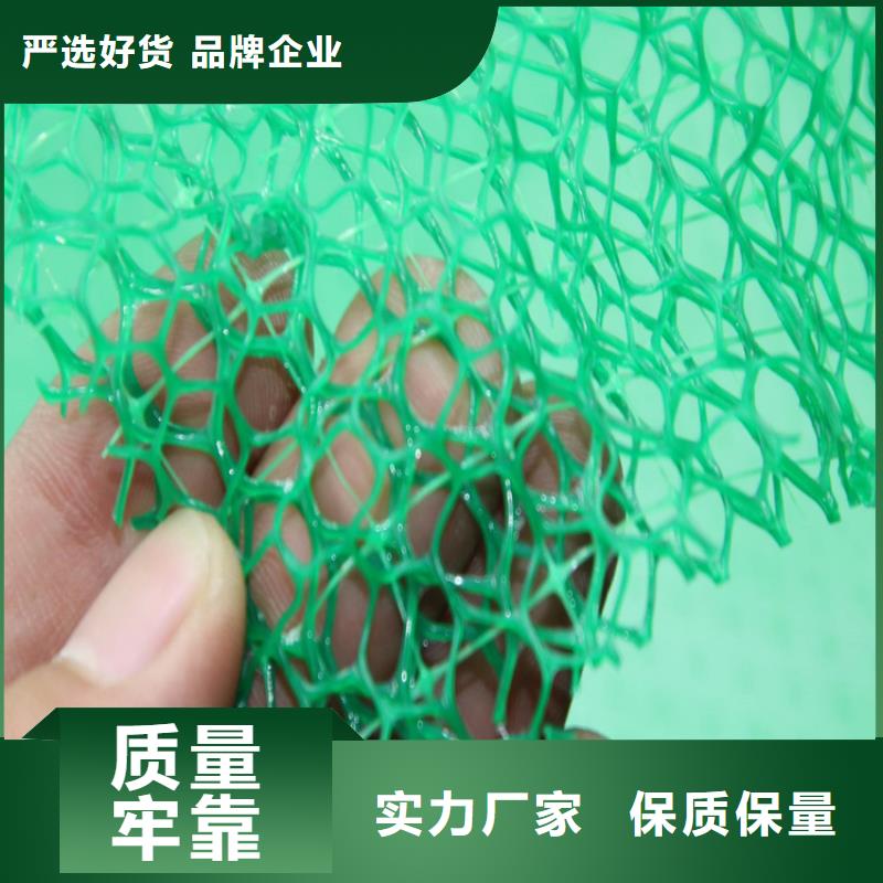三维植被网_复合土工膜实力厂家直销