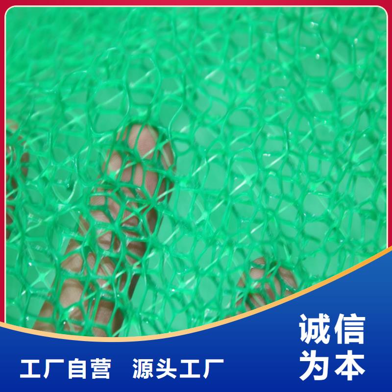 西和|徽县|天水|酒泉|甘南|兰州【三维植被网】_HDPE土工膜核心技术-中齐