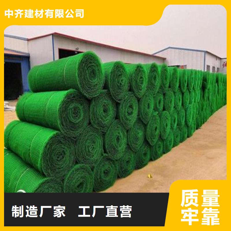 三维植被网_复合土工膜实力厂家直销