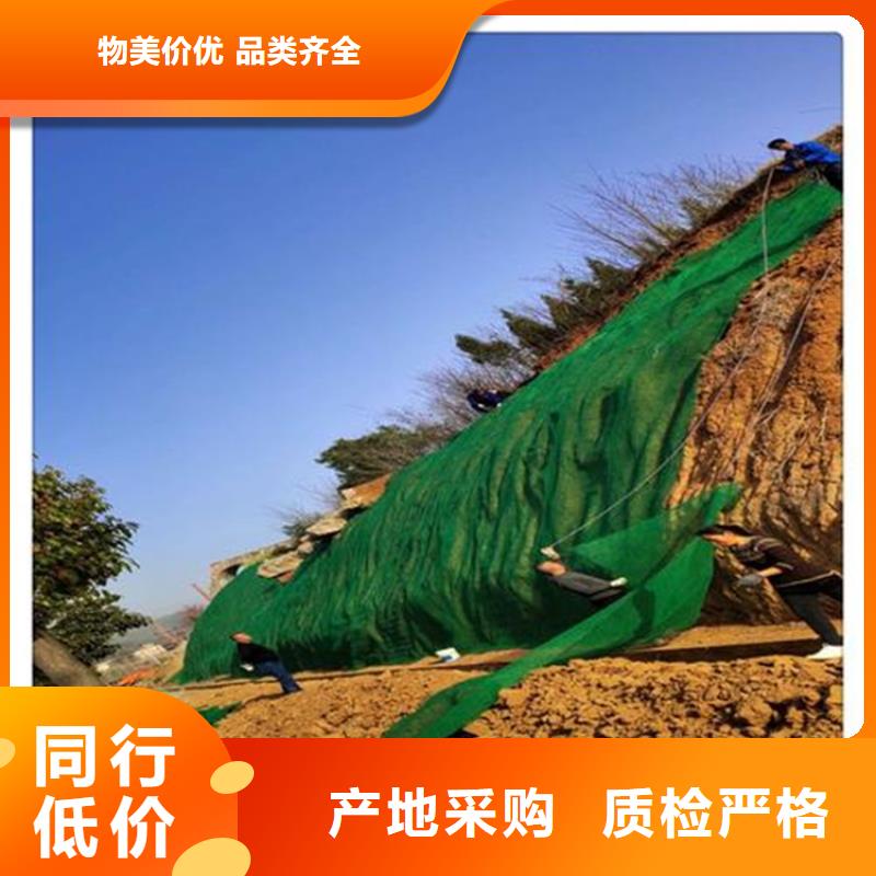 三维植被网_复合土工膜实力厂家直销