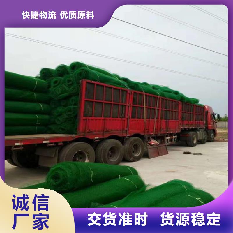 三维植被网_复合土工膜实力厂家直销