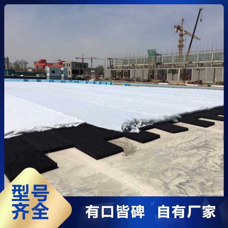 防渗膜视频-防渗膜-辽宁省沈阳|阜新|朝阳|抚顺【当地】生产商