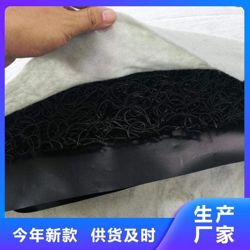 土工席垫双向塑料土工格栅一个起售