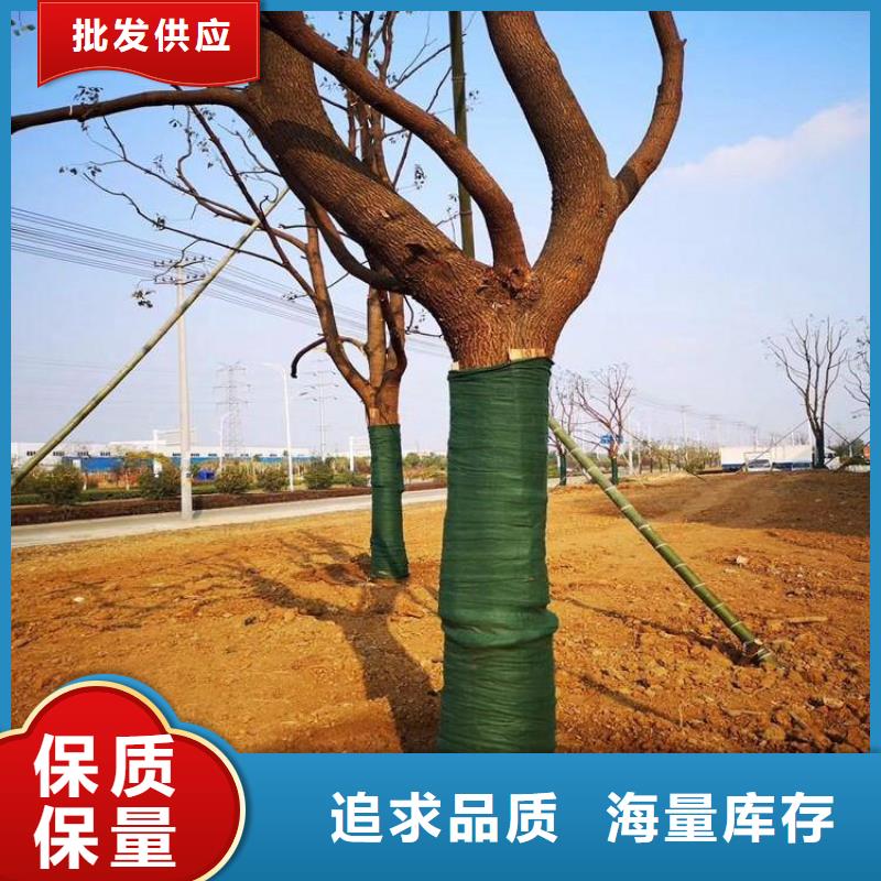 防渗膜视频-伊犁|克拉玛依|乌鲁木齐防渗膜种类多质量好-中齐建材(新疆分公司)
