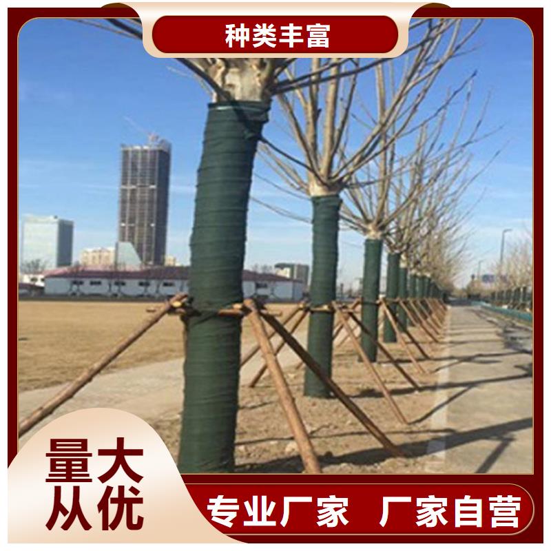 防渗膜视频-防渗膜-中齐建材(红河市分公司)服务区域开远|个旧|西双版纳|楚雄|临沧|文山|丽江|玉溪