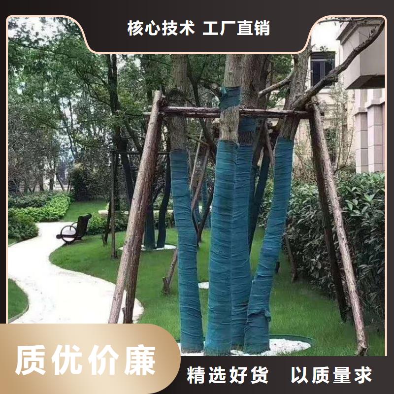 裹树布【土工格室】一件也发货