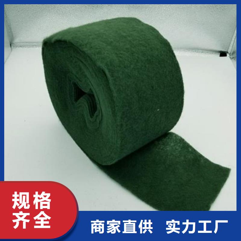 裹树布_排水管定金锁价