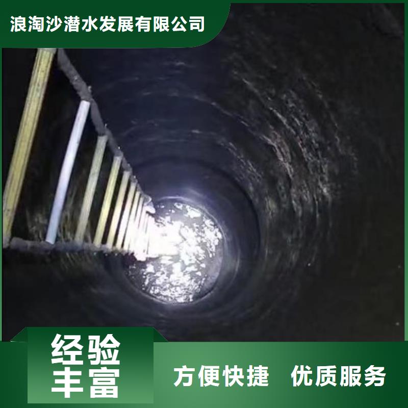 污水厂打捞泵支持定制浪淘沙水工