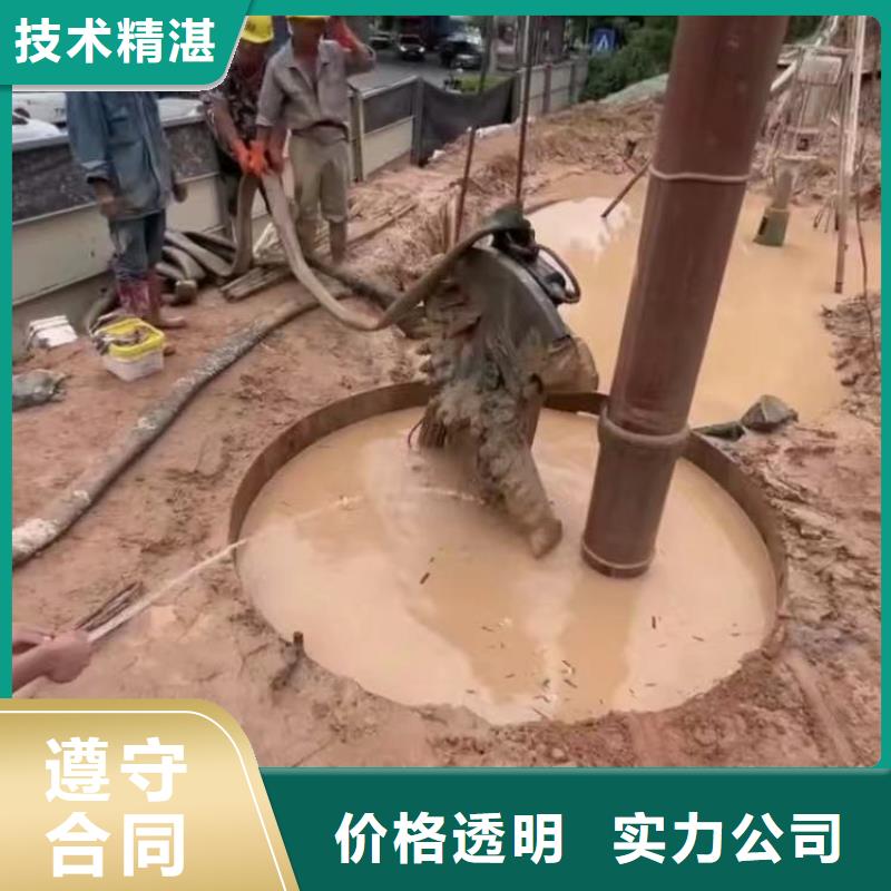 污水厂打捞泵支持定制浪淘沙水工
