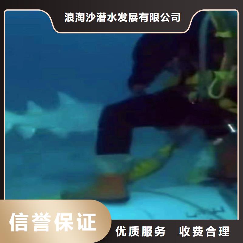 水下施工蛙人服务实时价格