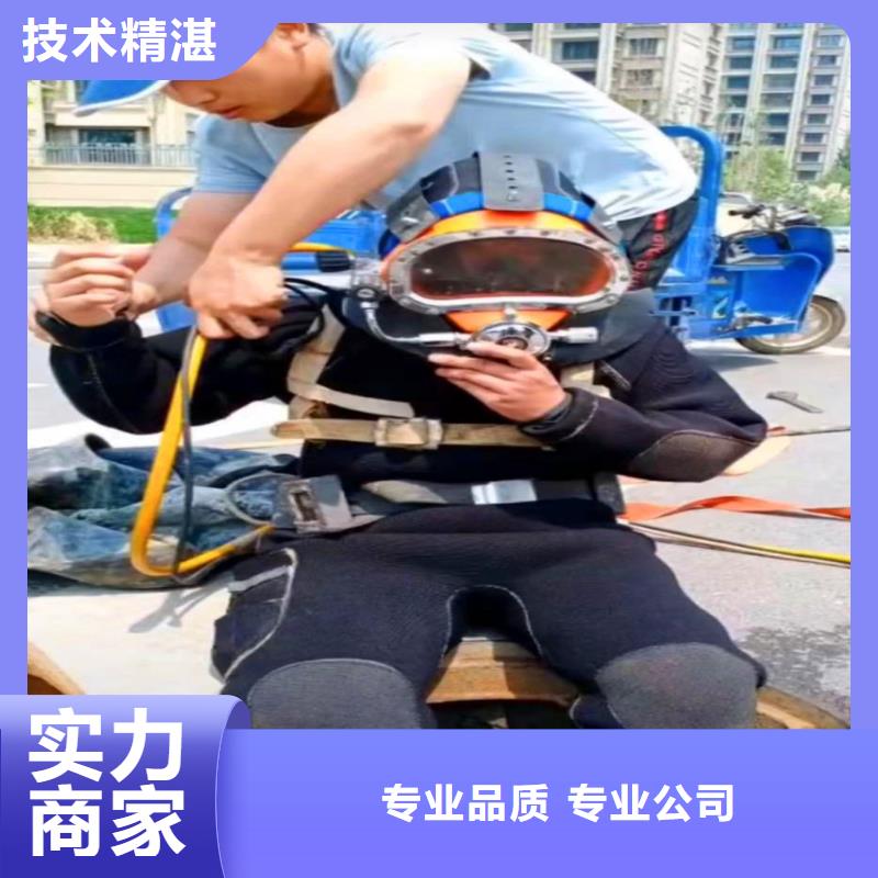 水中打桩来厂考察浪淘沙水工