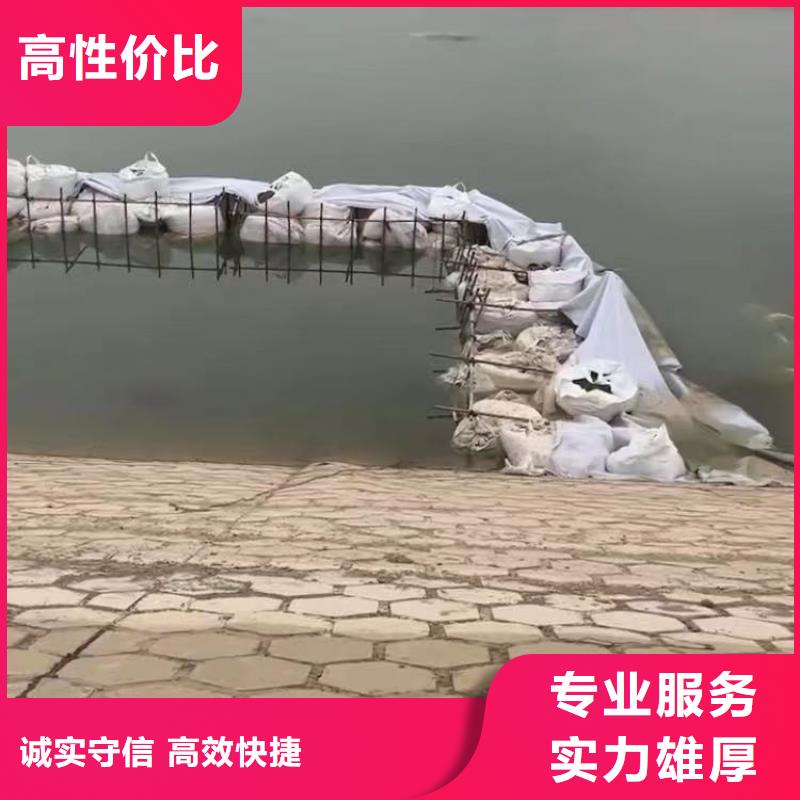 水下施工蛙人服务实时价格