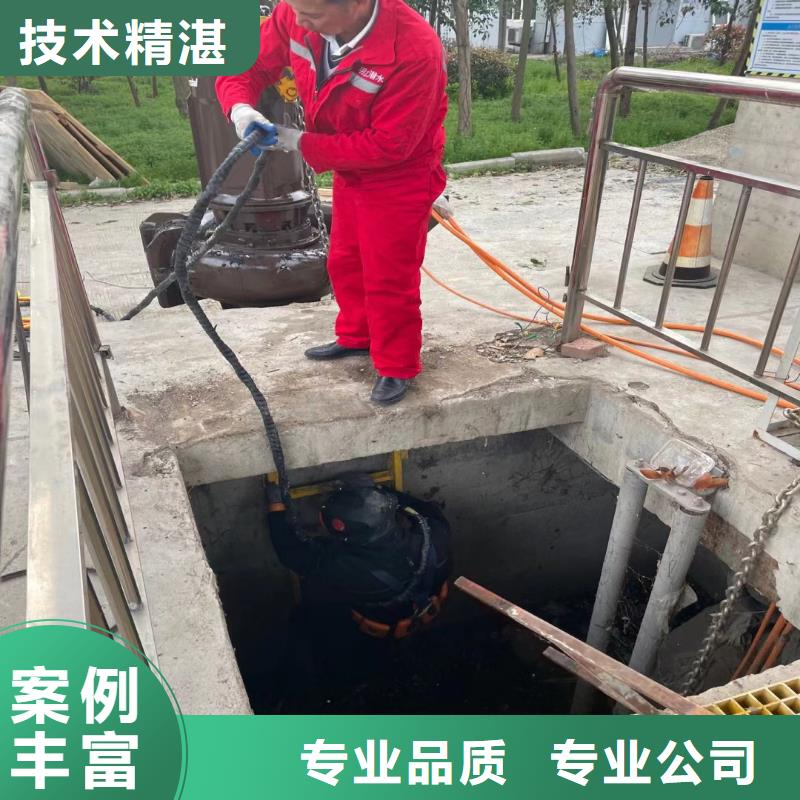 水鬼蛙人水下检修闸门-批发价-浪淘沙水工