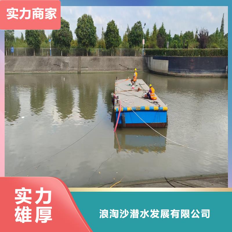 【水下作业潜水员服务_沉进下沉施工放心】