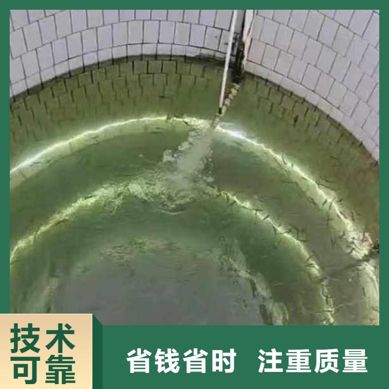 水下施工 水下安装欢迎询价