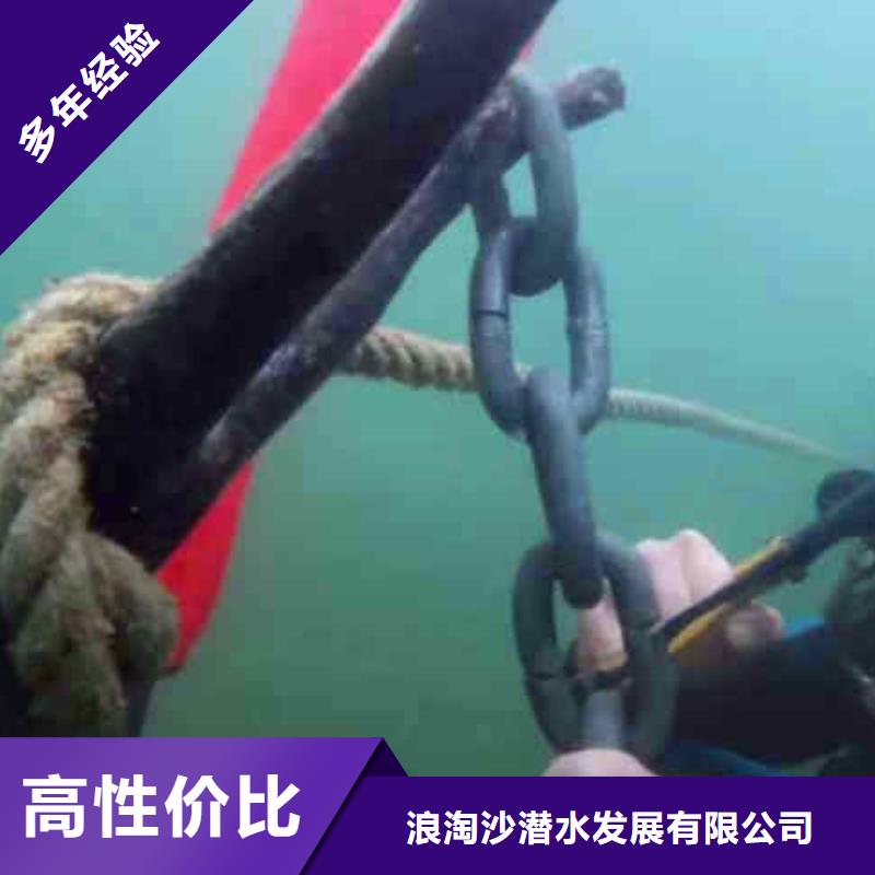 潜水员服务本地潜水搜索团队省钱省时