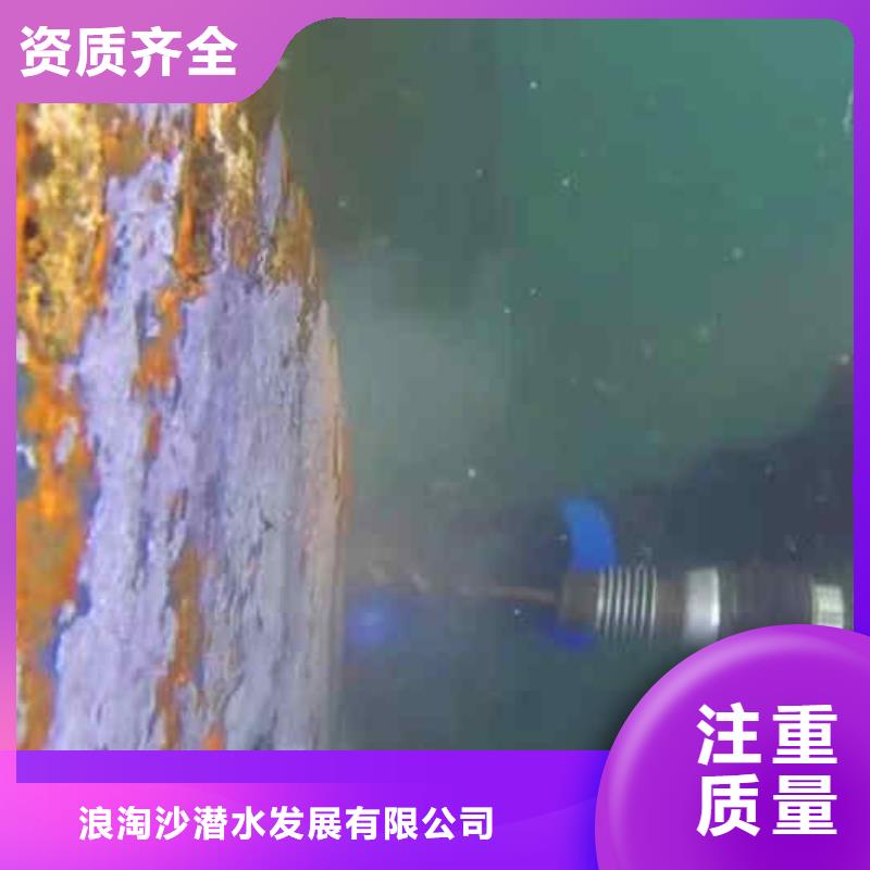 潜水员服务 水下救援机器人专业品质